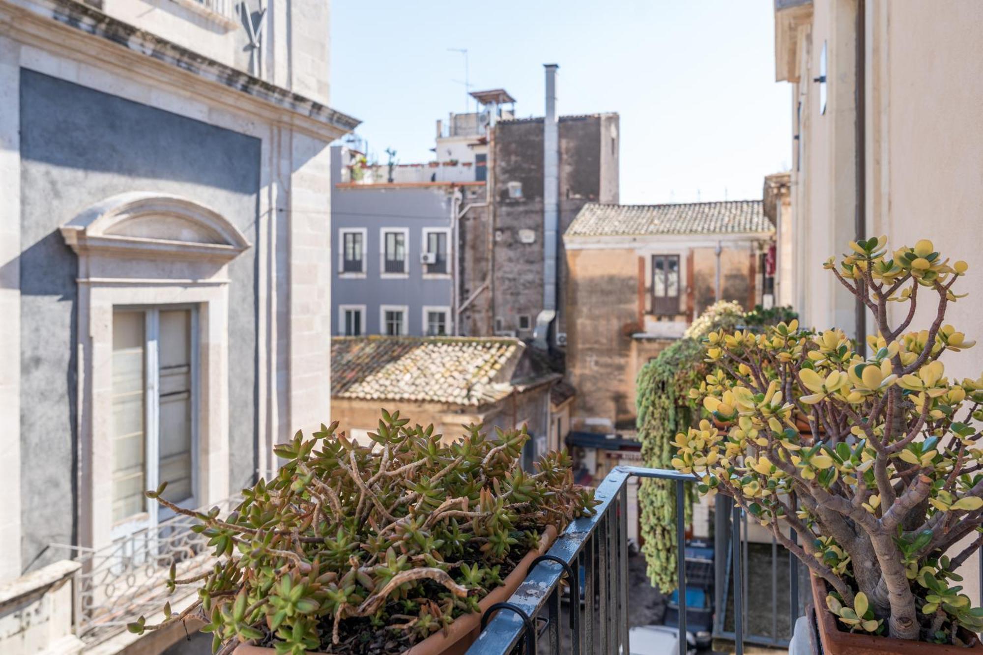 Amenano Apartments كاتانيا المظهر الخارجي الصورة