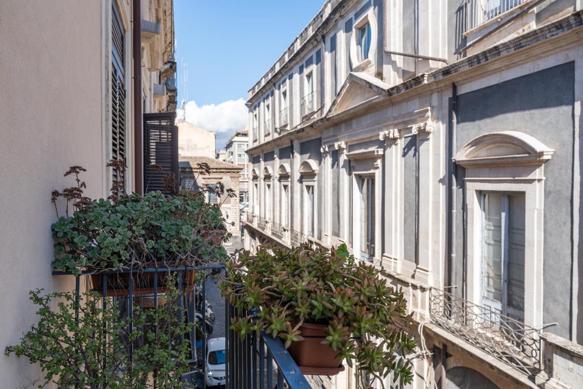 Amenano Apartments كاتانيا المظهر الخارجي الصورة